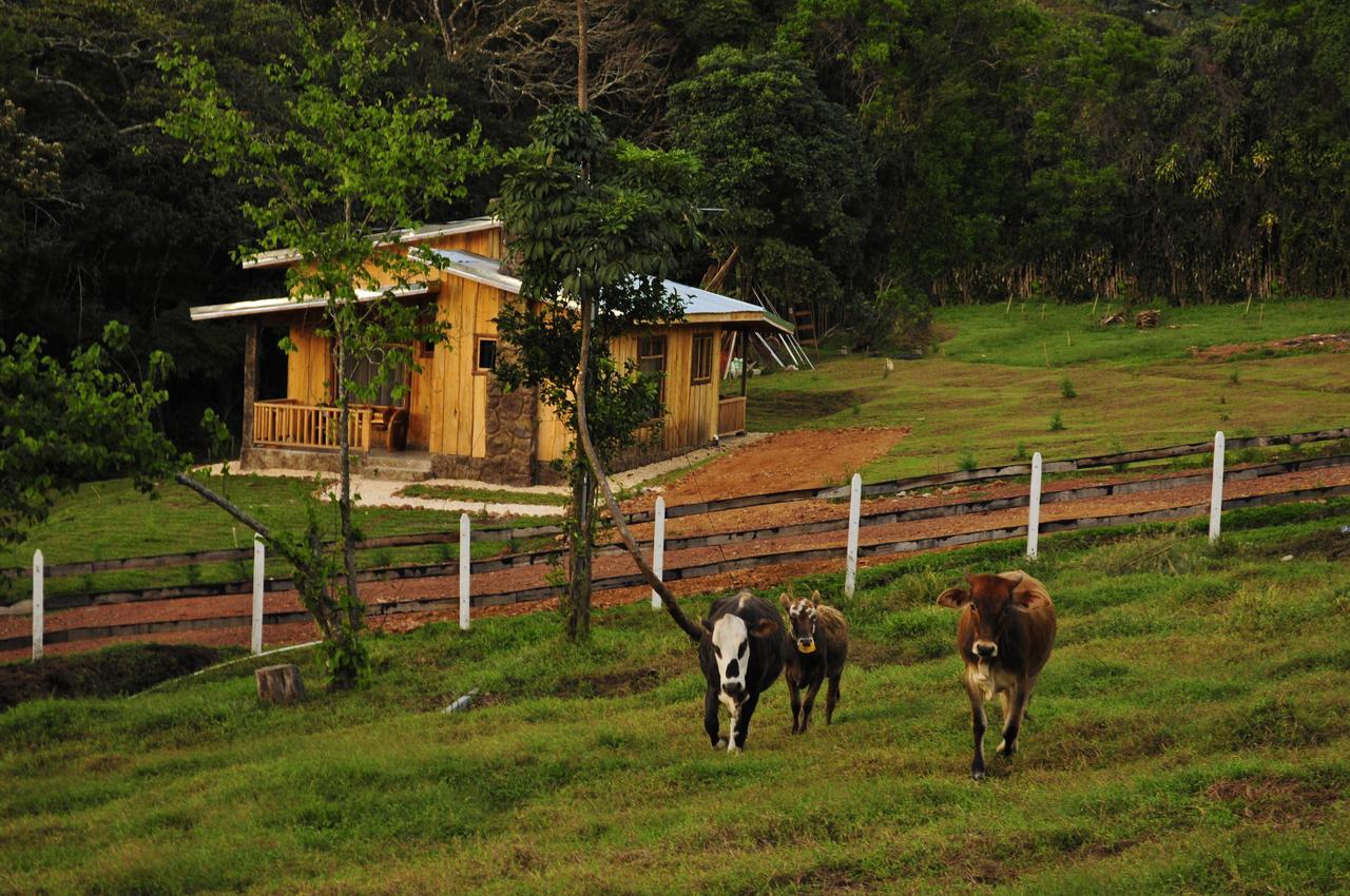 Hotel & Spa Escondite De La Montana Sabana Redonda Extérieur photo